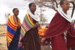 Schüler präsentieren traditionelle Tänze